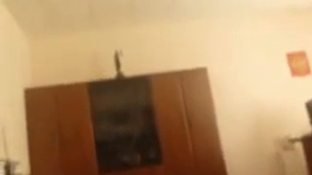 Первомайский районный суд Краснодара 03.09.12г. смотреть онлайн
