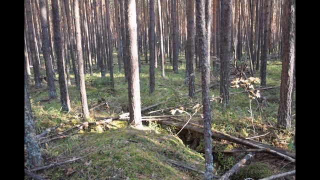 Минерал Урала. MINERALURAL. Что за копи?. Адуй. смотреть онлайн