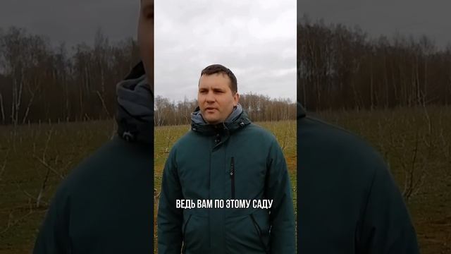 КАК ПРАВИЛЬНО ПОСАДИТЬ ФУНДУК?#саженцы #фундук #сад #бизнес#орех#посадка #купить #сельскоехозяйство