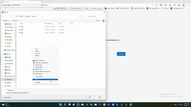 SSL certificate export using web browser смотреть онлайн