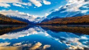 Роберт Адамс.Сила Внутри Тебя