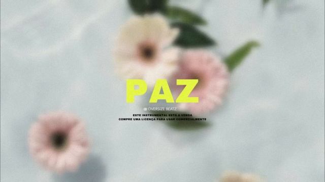 (Free) Edgar Domingos x Zouk Type Beat - “Paz” | Kizomba Instrumental 2023 смотреть онлайн