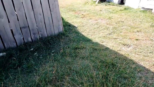 18.09.23 Строим даальше навес ?