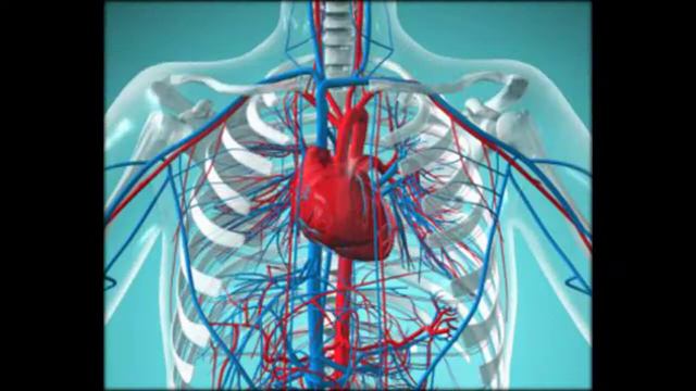 болезни сердца фибрилляция предсердий
