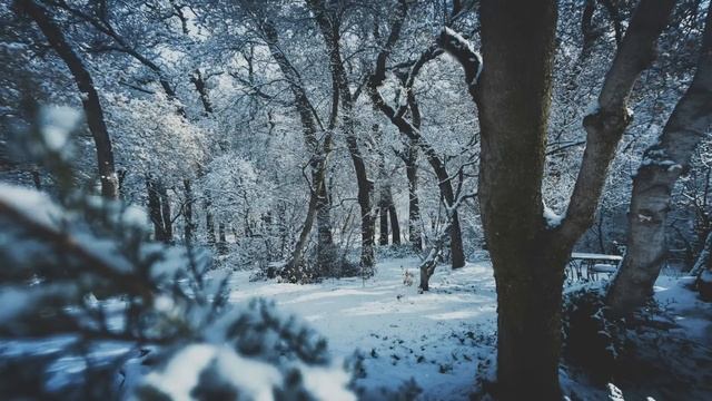 Тёща высмеяла зятя за то, что он не местный и прогнала его. А через время, попав в больницу и увиде смотреть онлайн