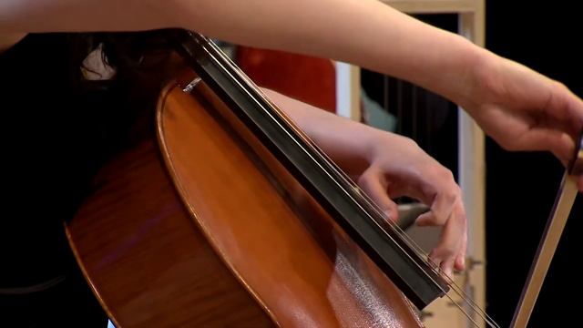 Cello Octet - Maya Fridman - Maxim Shalygin - Festival Dag in de Branding 9 juni 2021 смотреть онлайн