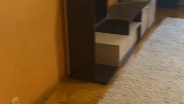 Cтудия 20 м с балконом на втором этаже продам До м. Ул. Старокачаловская 10 мин. пешком серая ветка смотреть онлайн