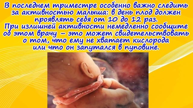 Развитие плода на 39 неделе беременности/Календарь беременности! смотреть онлайн
