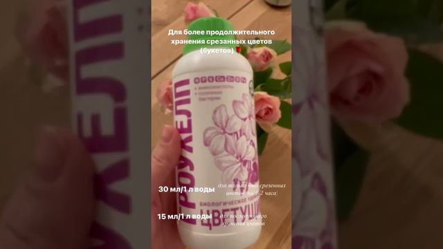 Как продлить хранение срезанных цветов?
