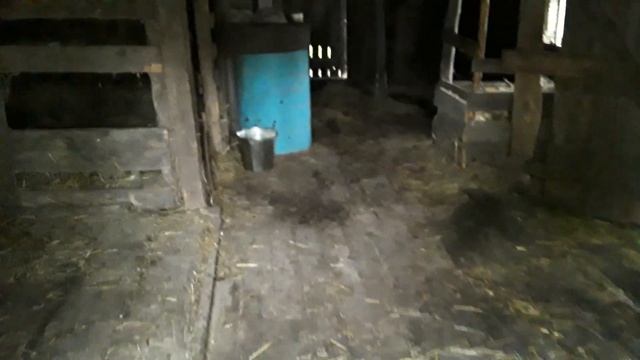 Вновь прибывший Мишка смотреть онлайн