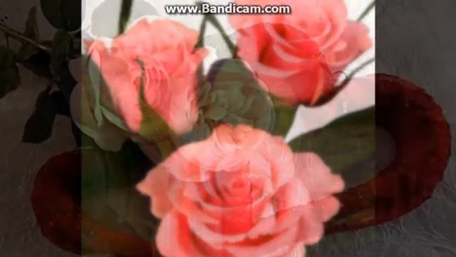 За все тебя благодарю.Ян Марти.