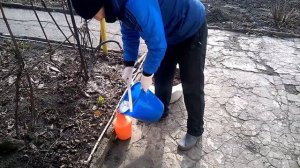 Фитоспорин - обеззараживаем почву фитоспорином.