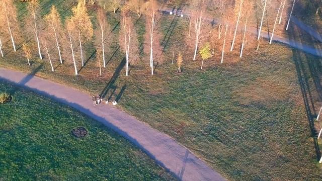 Парк 300 лет СПб DJI MAVIC pro смотреть онлайн