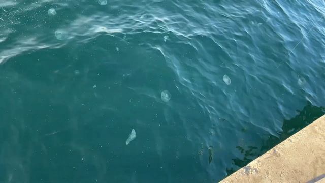 Морской круиз из Сочи в Турцию с мамами. смотреть онлайн