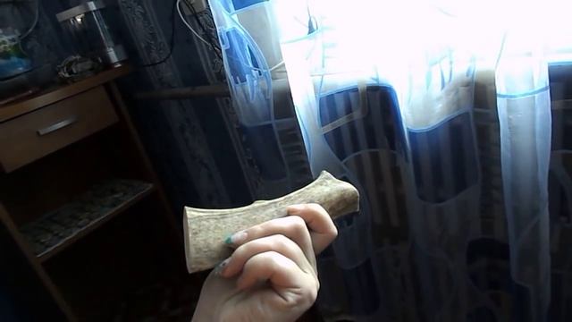 Олений рог! Лакомство для собаки смотреть онлайн