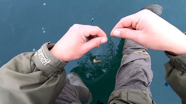 Первые шаги с безмотылкой смотреть онлайн