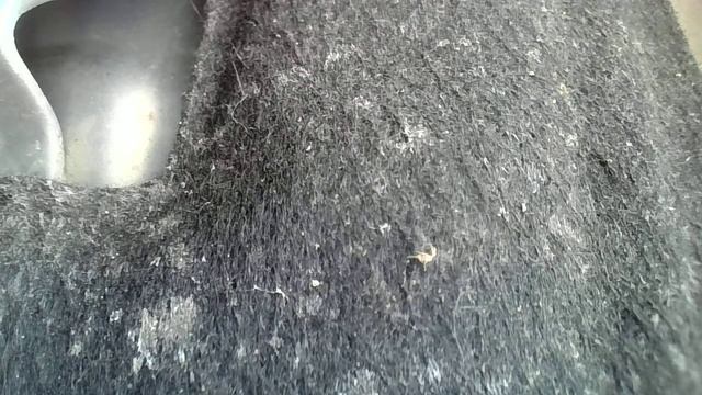 Эндоскопия двигателя Volkswagen Tiguan в Нижнем Новгороде смотреть онлайн