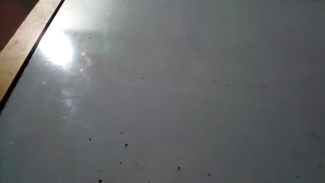 Для не успевающих и кто хочет научиться грамотно писать 3 класс- 2 класс смотреть онлайн