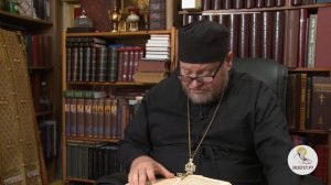 Книга Бытие. Глава 8. Протоиерей Олег Стеняев. Библия