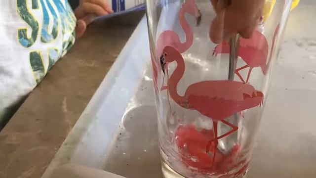 Booms, bang and fizzes смотреть онлайн