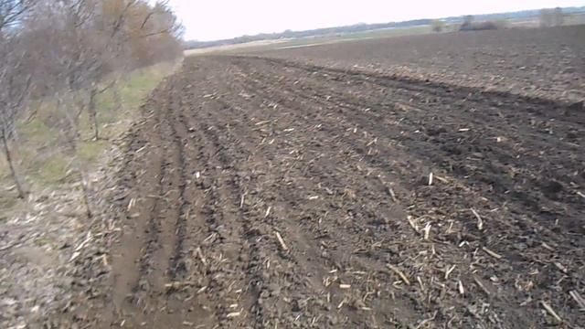 ПОИСК КЛАДА НА ДРЕВНЕМ ПОСИЛЕНИИ! СУДЯ ПО НАХОДКАМ СЕРИБРА ПОСИЛЕНИЕ БЫЛО НЕ ИЗ БЕДНЫХ! смотреть онлайн