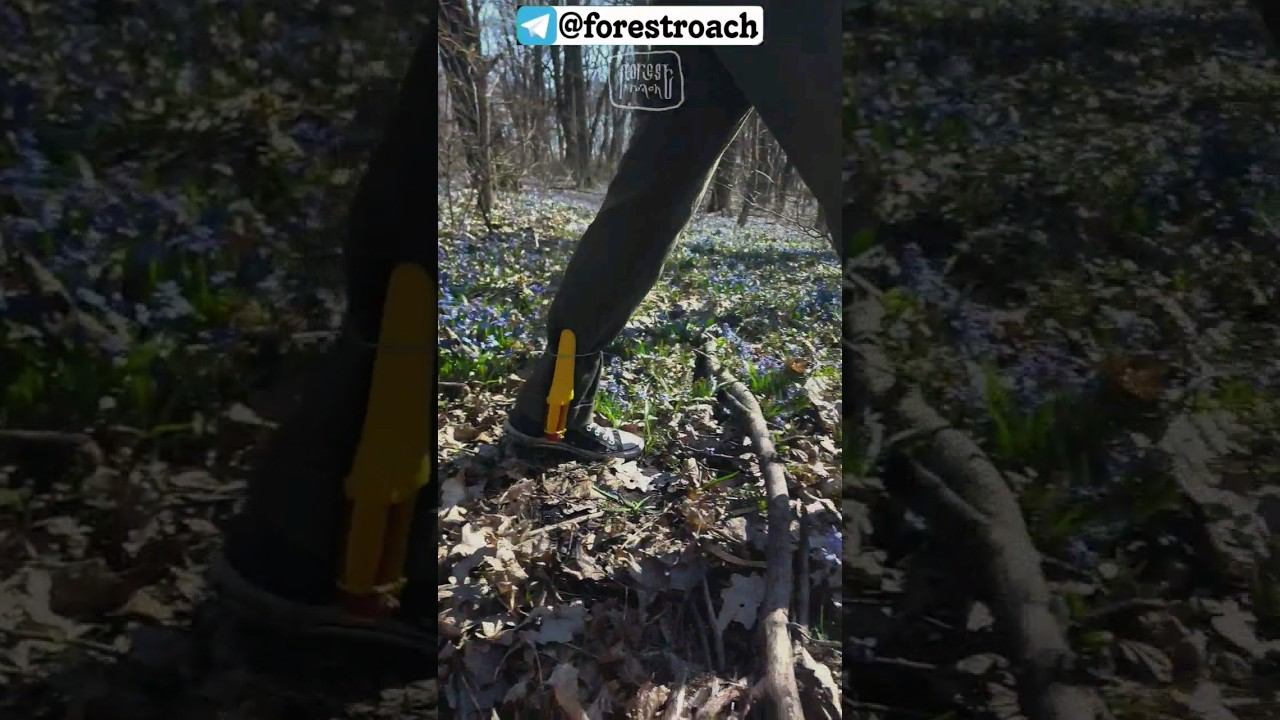 лайфхак на 1 апреля #выживание #бушкрафт #нож #knife #ковка #forest #самоделки смотреть онлайн