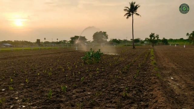 Rain Gun Sprinkler Irrigation | Water Gun | Big Sprinkler смотреть онлайн