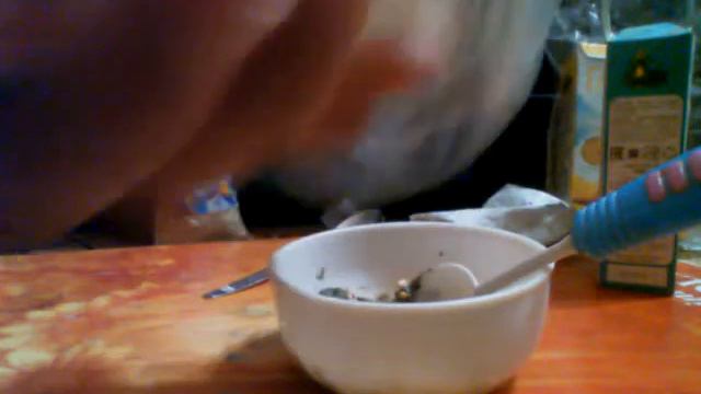 1 часть Как сделать лепешку (печеньку) попугаю