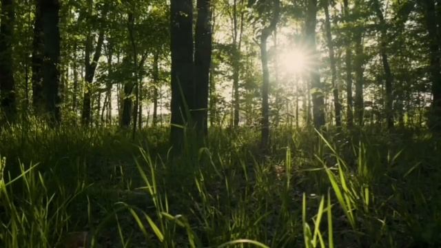 ВРЕДИНА НЕ ДЕЛАТЬ ИЗ АЛИСЫ КЛОУНА! VREDINA LIFE. смотреть онлайн