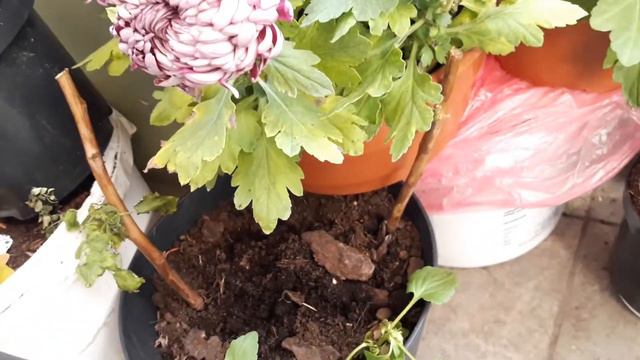 Затянули балкон плёнкой, результаты смотреть онлайн