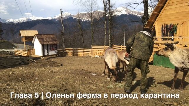 Глава 5. Оленья ферма в период карантина смотреть онлайн