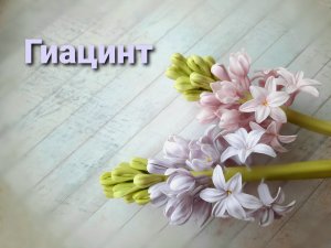Гиацинт из холодного фарфора. Подробный МК! 3 урок курса "Весенний букет".