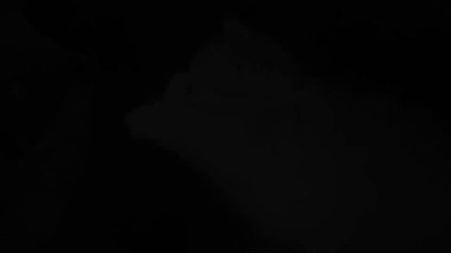 Как вылечить глаза котёнку, или спасение кота Персика. История одного котёнка. смотреть онлайн