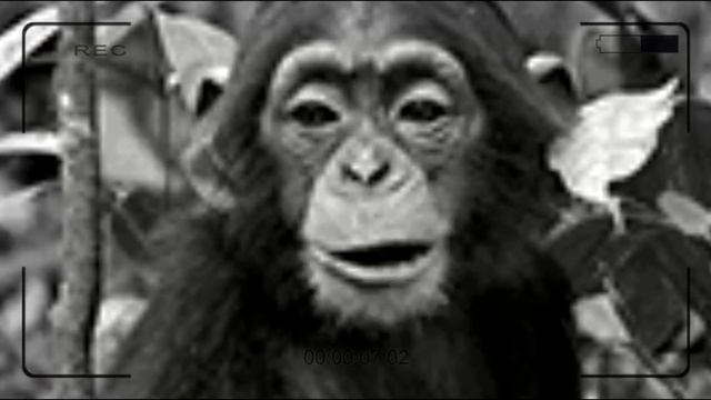 Как ПОВЫСИТЬ ФПС в кс го 2021 - КАК ПОВЫСИТЬ FPS В CS:GO? - 15 ЛАЙФХАКОВ Как поднять ФПС на ноутбук смотреть онлайн