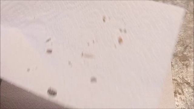 Весенняя проверка пасеки на варроатоз