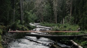 ЗУГРА МЕДЖИДОВА - БЕРЕГИТЕ ЧУВСТВА 2024