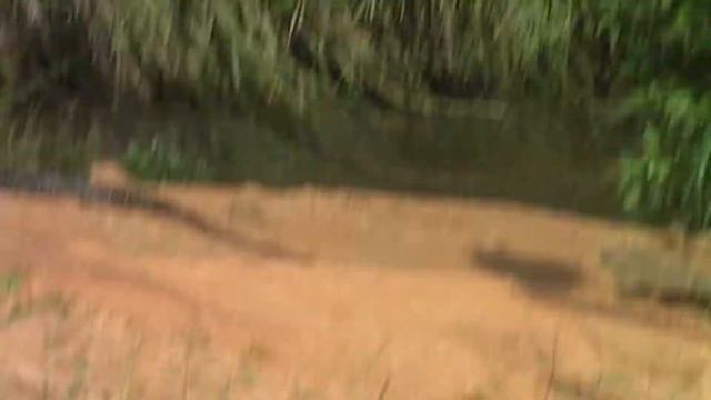 🔴Зоопарк под колесами🔴Кто спешит, пусть объедит🔴Шри Ланка🔴Zoo under the wheels🔴 Sri Lanka🔴 смотреть онлайн