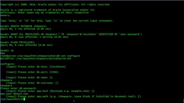 How To Install Shopware on Ubuntu Linux смотреть онлайн