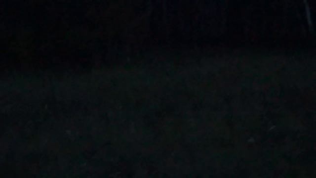 Гон лосей2021 Первый выезд Омская область