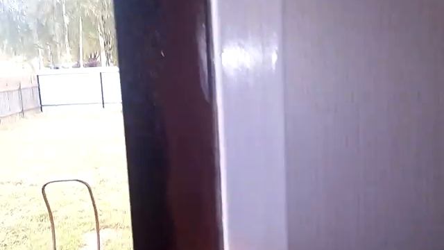 Потеет входная металлическая дверь? Проблема решена. смотреть онлайн