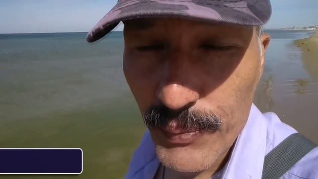 АНАПА ? ГДЕ ЧИСТОЕ МОРЕ? Проверяем пляж пансионата "София" // 29 мая 2018 года смотреть онлайн