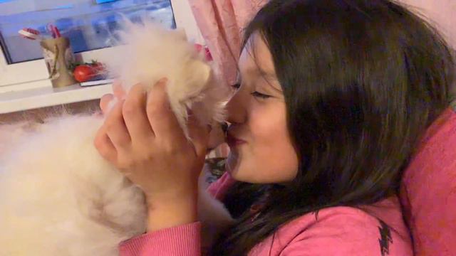 Немецкий шпиц Цезарь👑