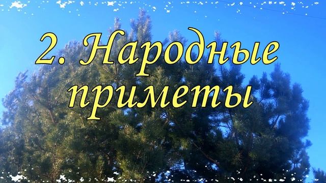 Традиции и приметы Алексей Теплый народный праздник смотреть онлайн