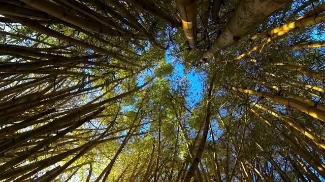 Chill Reggae Beat Tribe Of Riders Prod. Malamute Kid смотреть онлайн