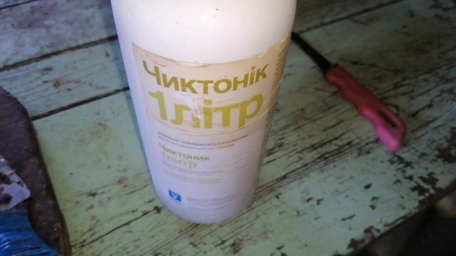 Почём нынче яйца? Линька у кур. Кормление кур смотреть онлайн