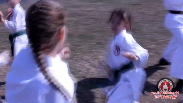 Мангуст с Чёрным Поясом 2 смотреть онлайн
