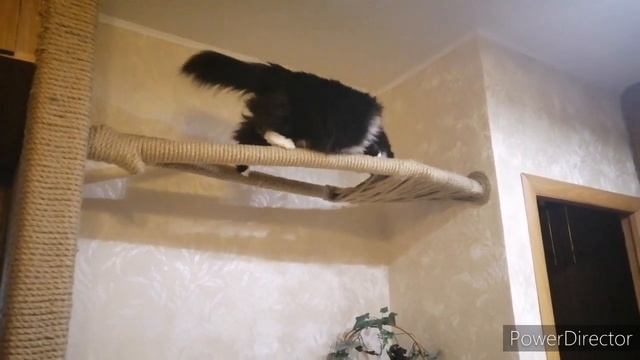 Когтеточка-лежанка для кошки своими руками. Часть 3. Продолжение следует... смотреть онлайн