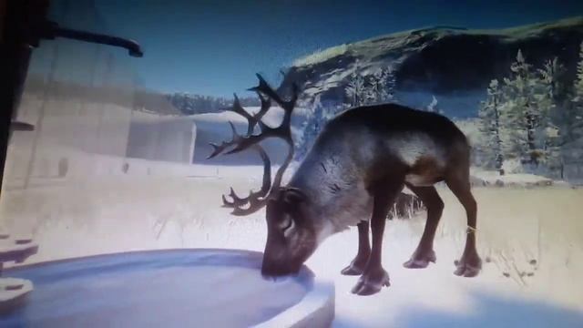 северные олени смотреть онлайн