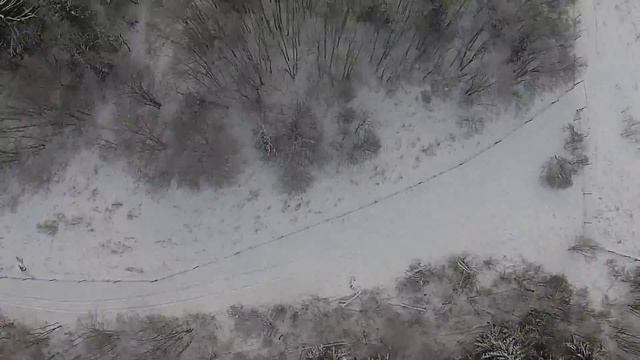 Кабаны с высоты птичьего полета смотреть онлайн