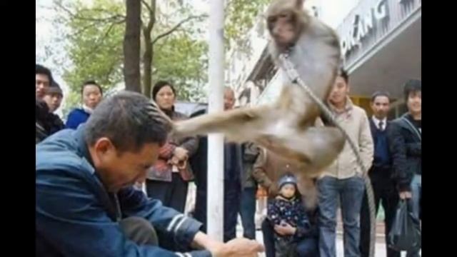 Не ходите дети в Африку гулять смотреть онлайн